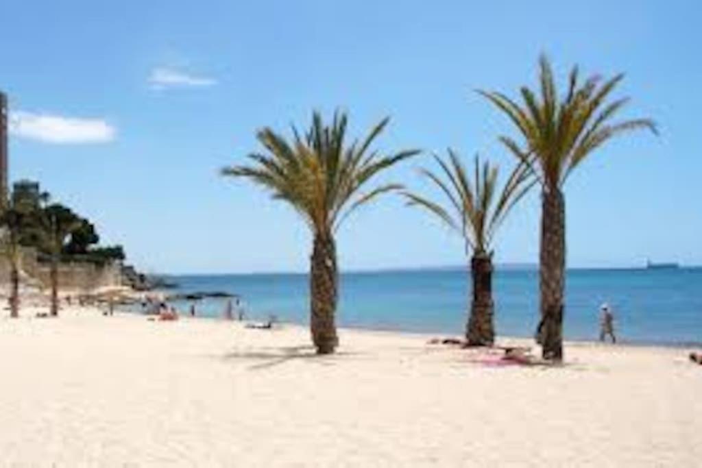 Mi Pequena Bahia Daire Alicante Dış mekan fotoğraf